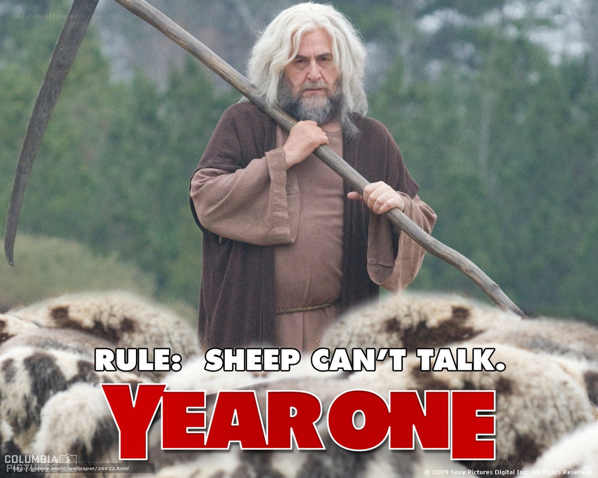 Shepherd with sheep