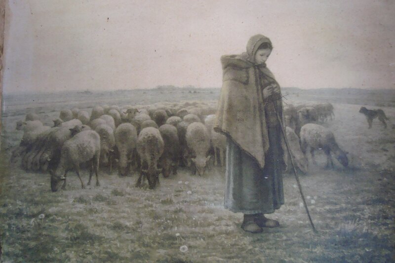 Shepherdess with sheep