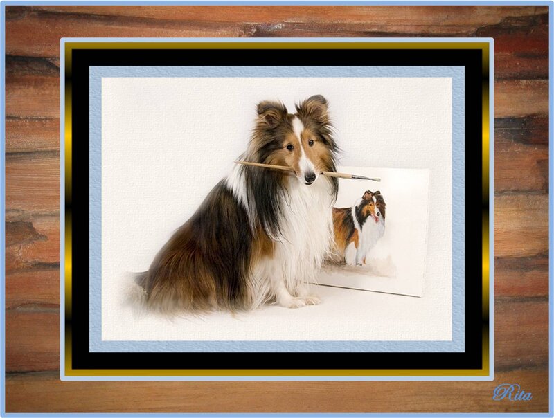 Shetland Sheepdog with Paintbrush