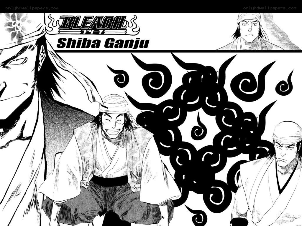 Shiba Ganju from Bleach