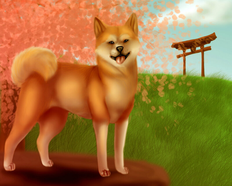 Shiba Inu Dog — Orange