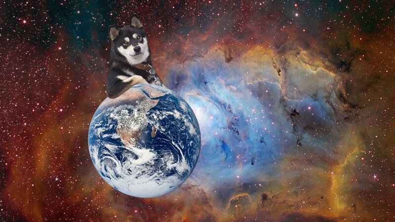 Shiba Inu on Earth in space