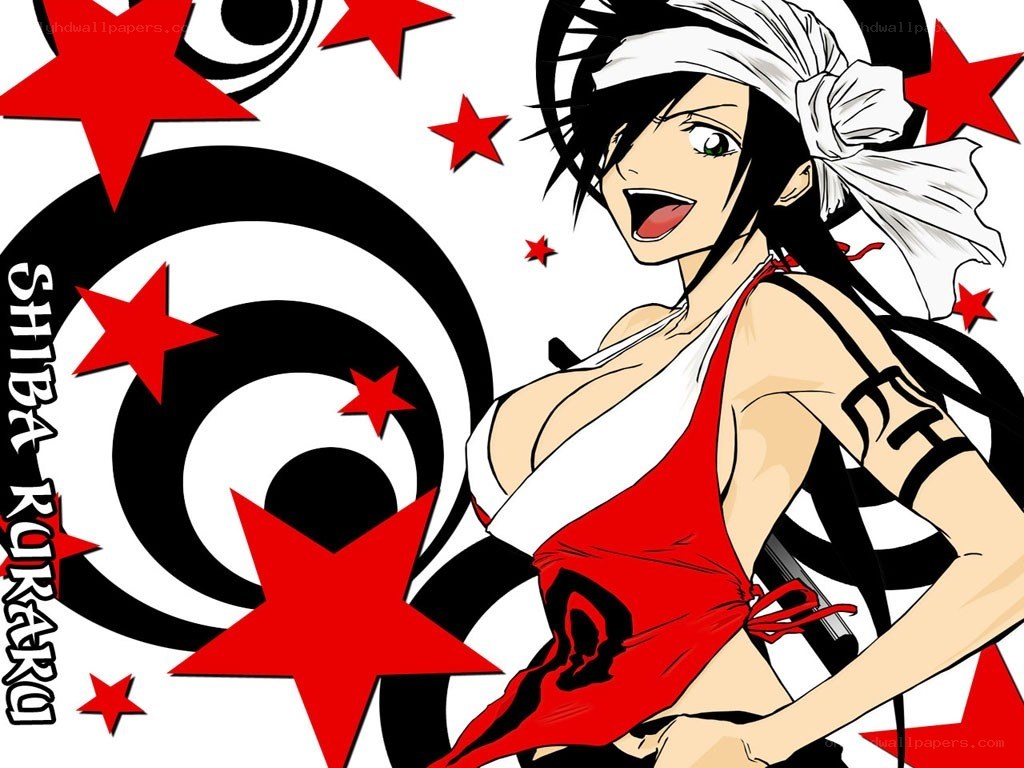 Shiba Kukaku character art