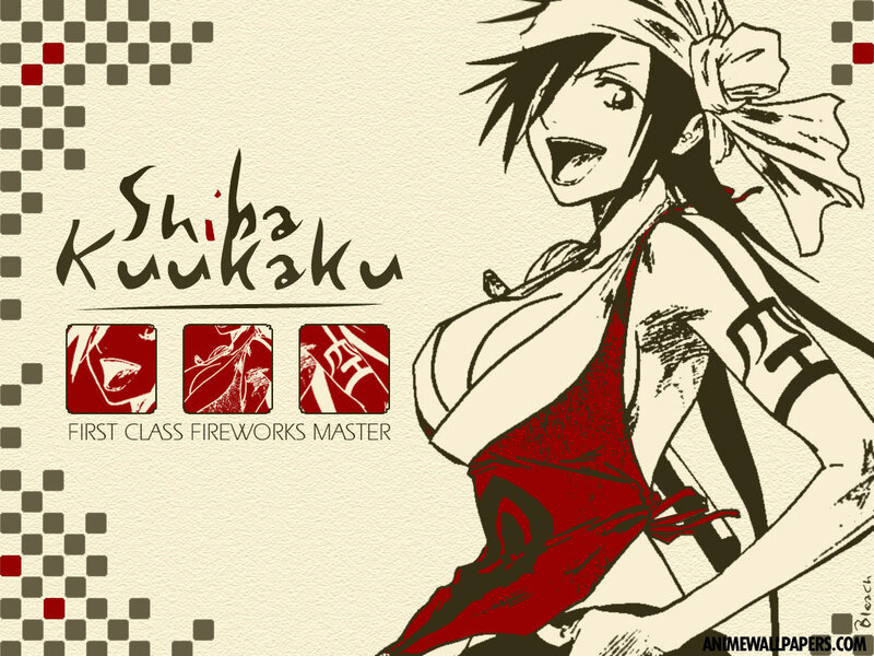 Shiba Kuukaku character art