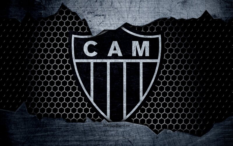 Shield Logo on Mesh