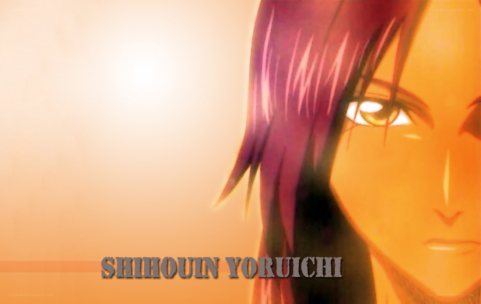 Shihouin Yoruichi anime portrait