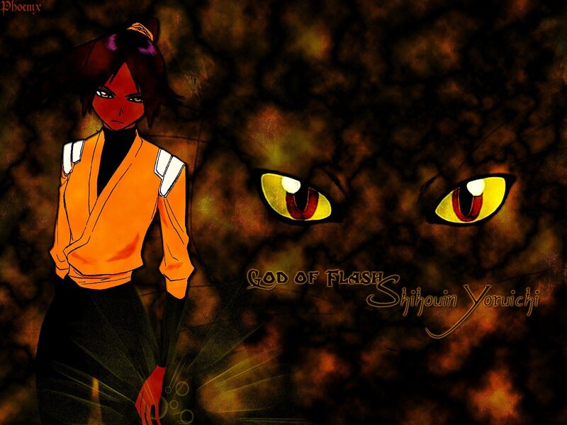 Shihouin Yoruichi character art