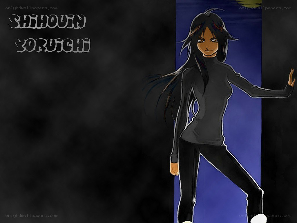 Shihouin Yoruichi character art
