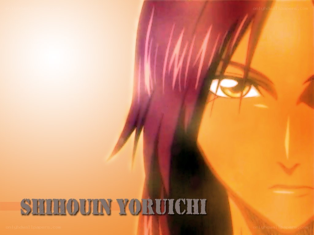 Shihouin Yoruichi close-up