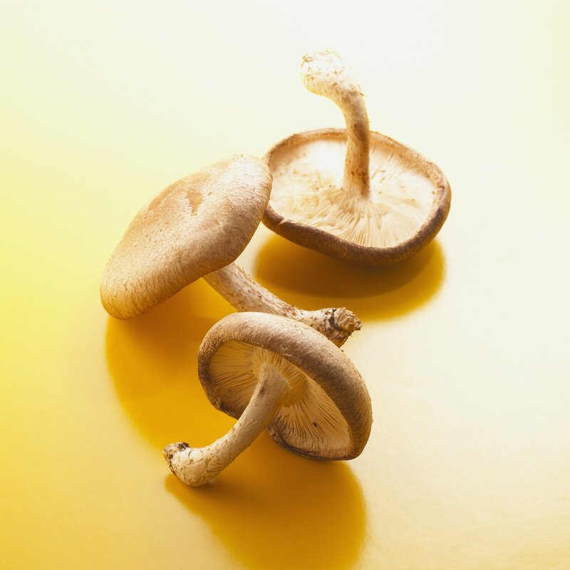 Shiitake mushrooms on yellow
