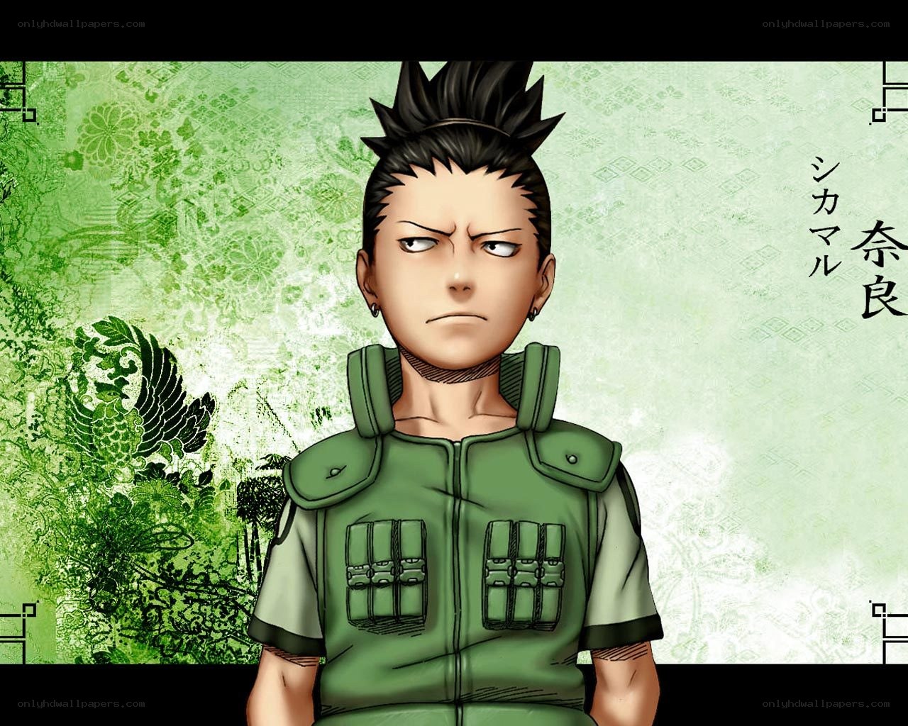 Shikamaru Nara character portrait