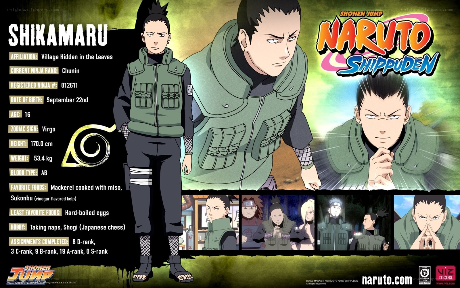 Shikamaru Nara character profile