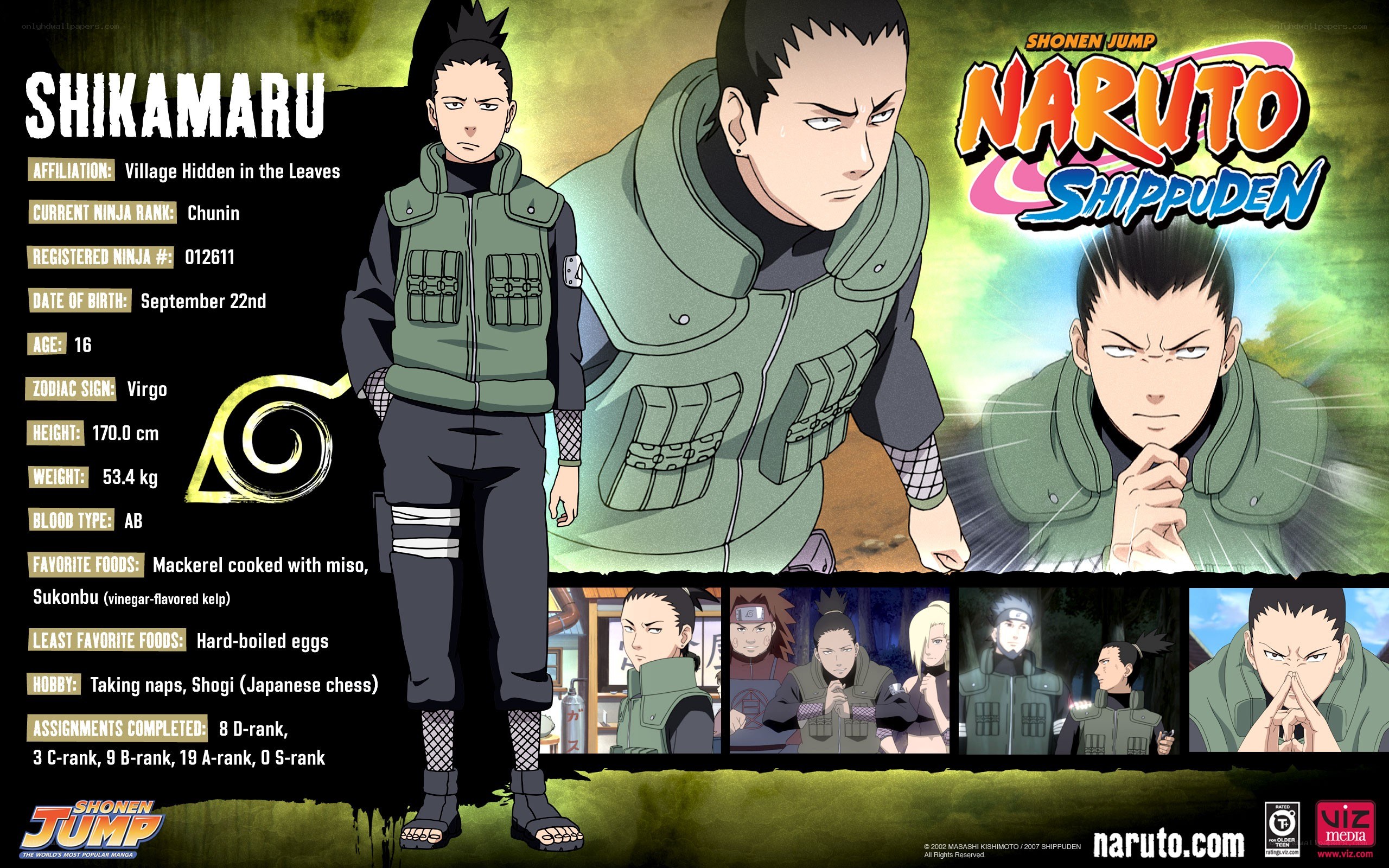 Shikamaru Nara character profile