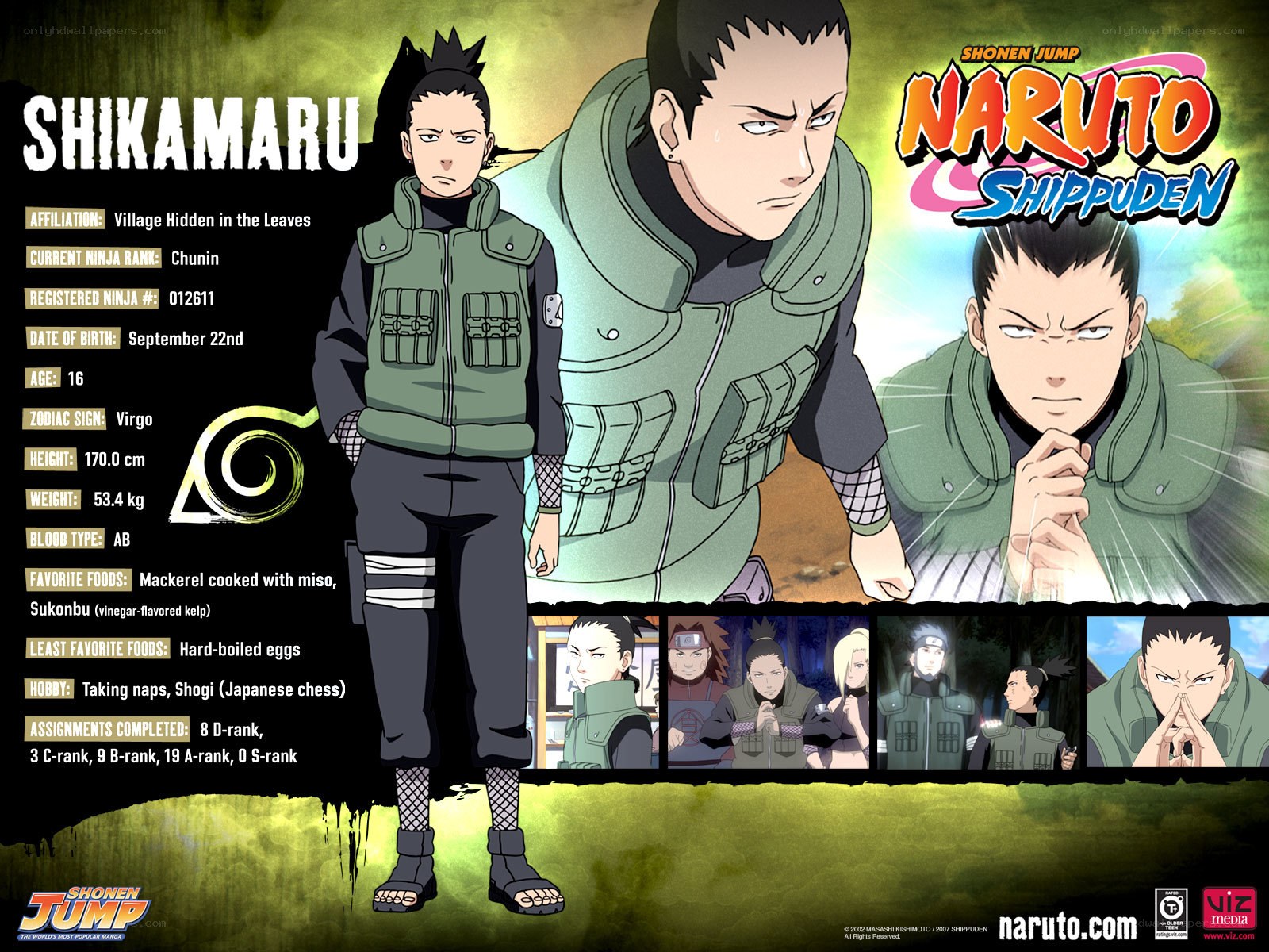 Shikamaru Nara character profile