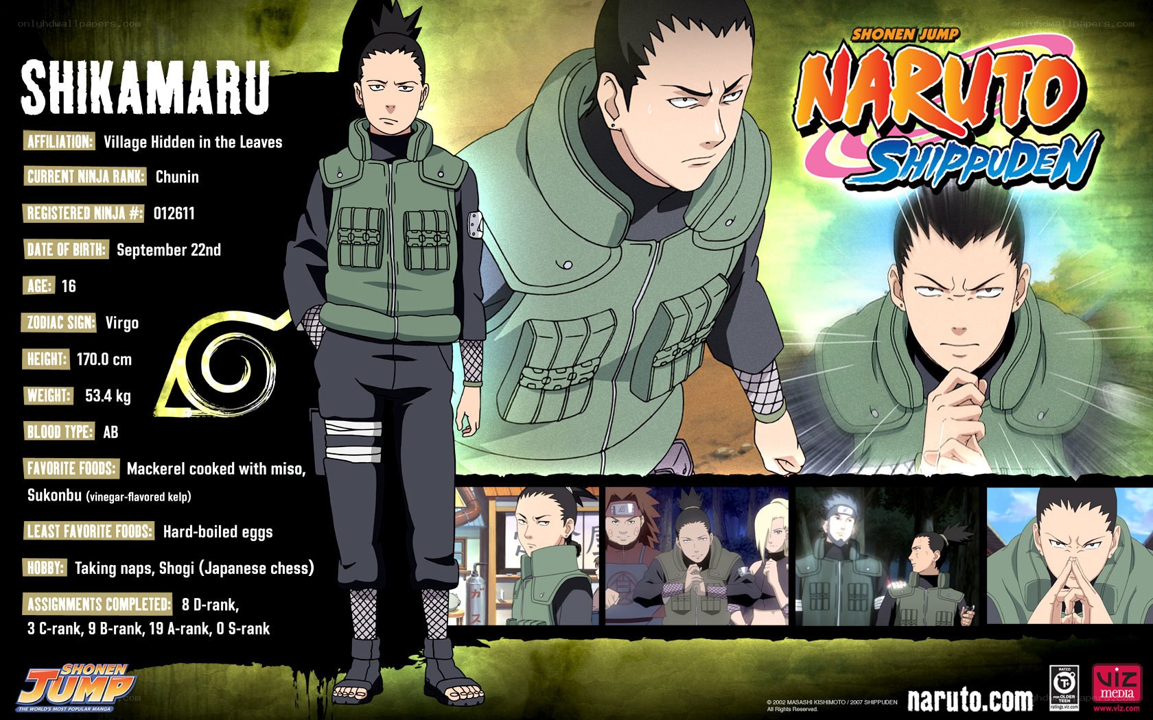 Shikamaru Nara character profile