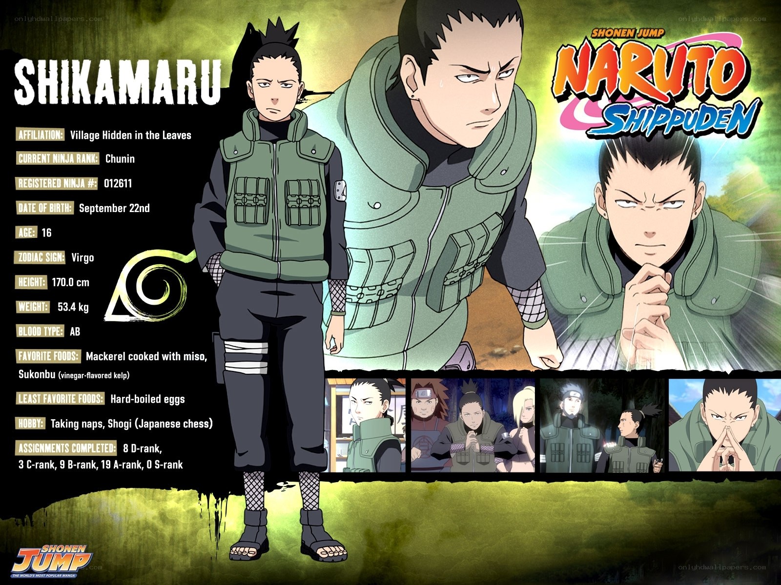 Shikamaru Nara character profile