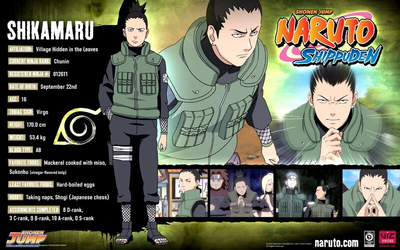 Shikamaru Nara Character