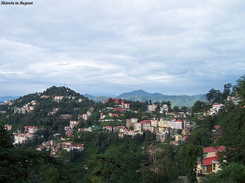 Shimla Cityscape