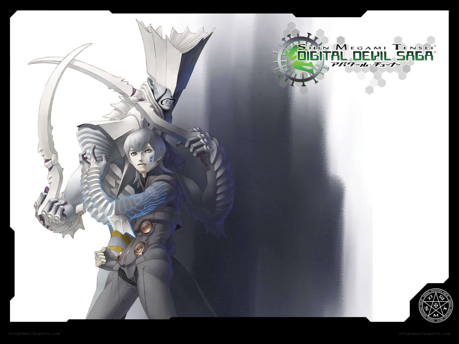 Shin Megami Tensei: Digital Devil Saga