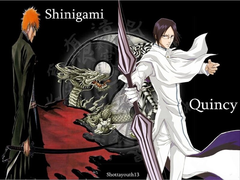 Shinigami vs Quincy