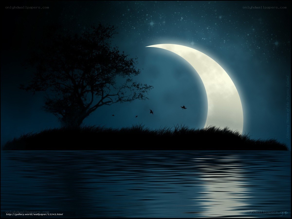 Shining Moon over a Quiet Island