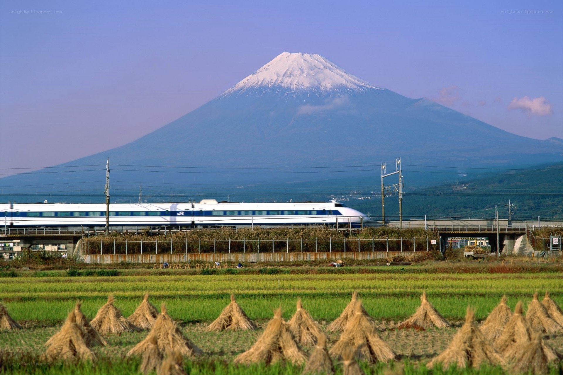 Shinkansen train near Mount Fuji
