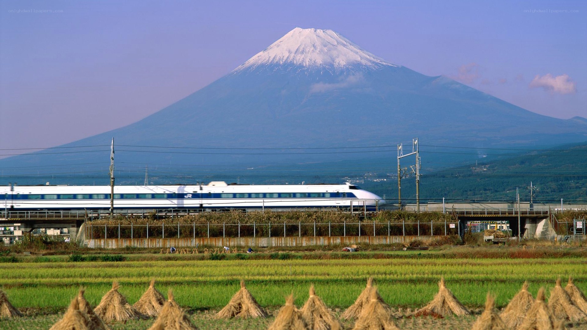 Shinkansen train with Mount Fuji