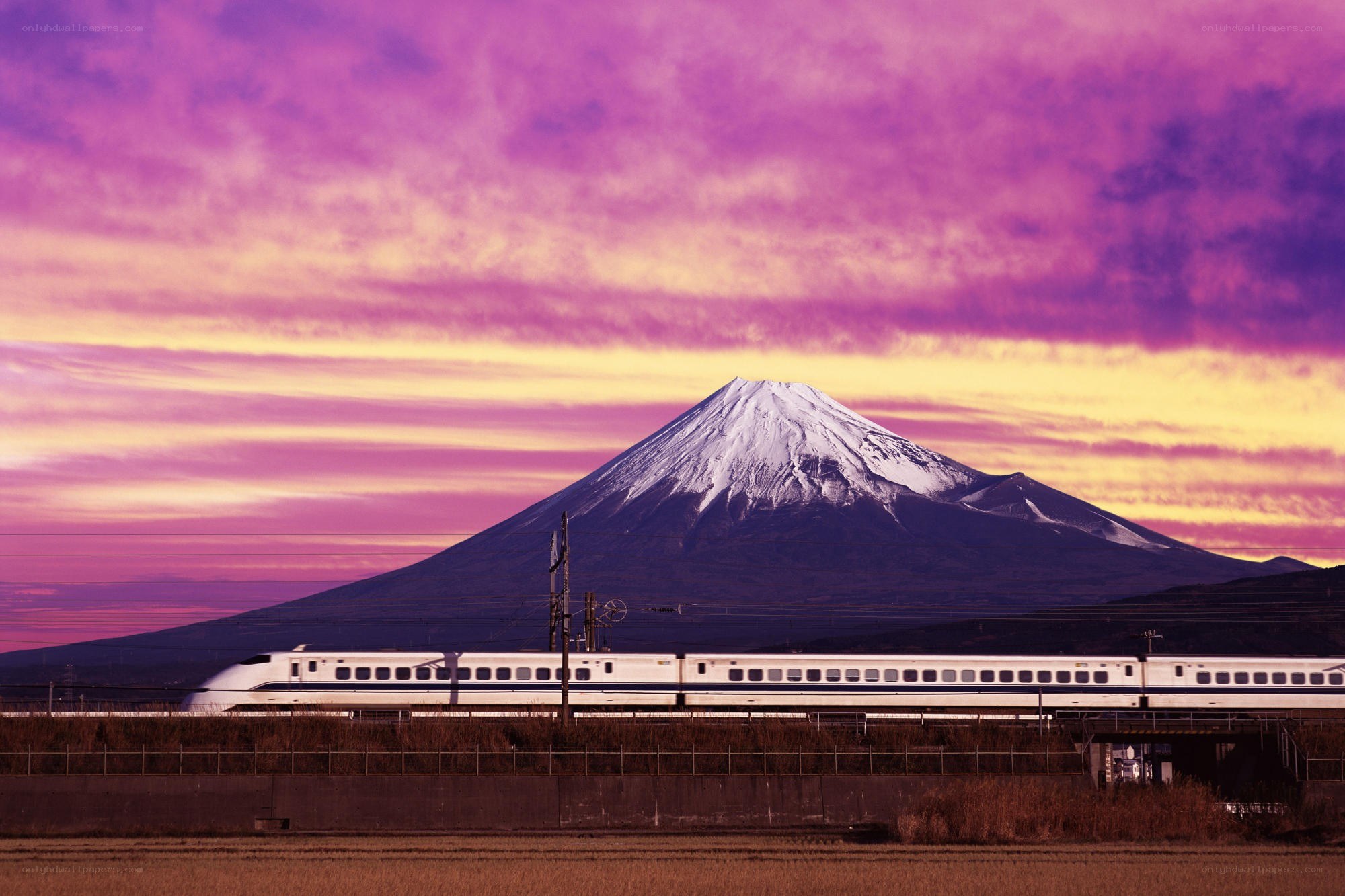 Shinkansen train with Mount Fuji