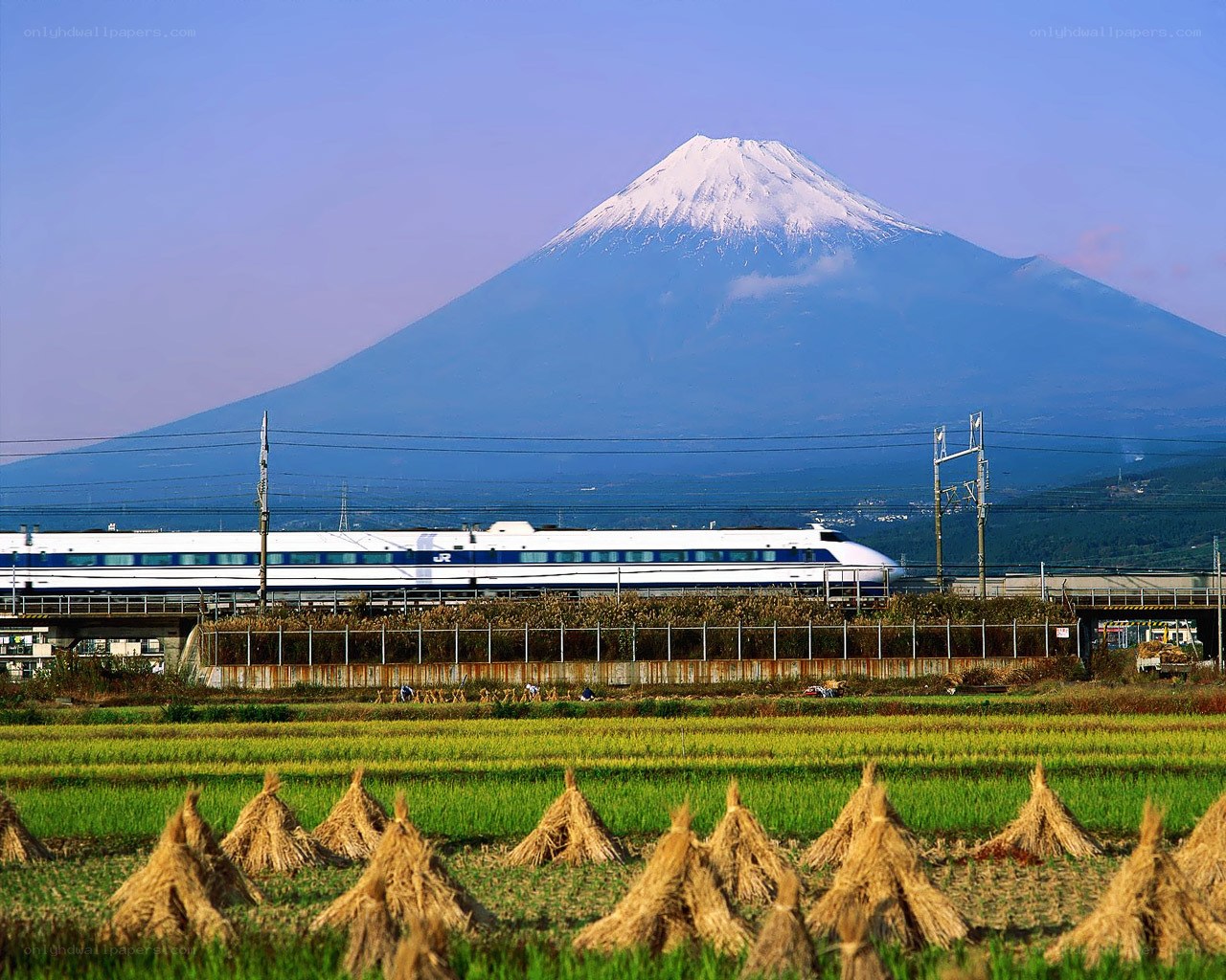 Shinkansen train with Mount Fuji