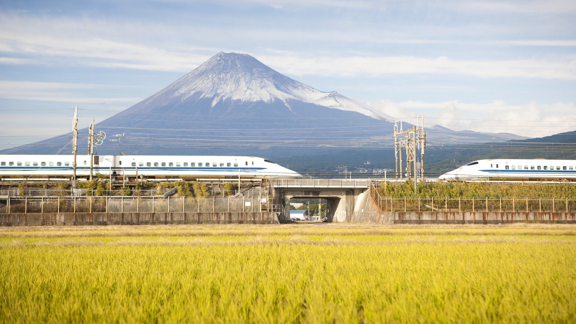 Shinkansen trains with Mount Fuji