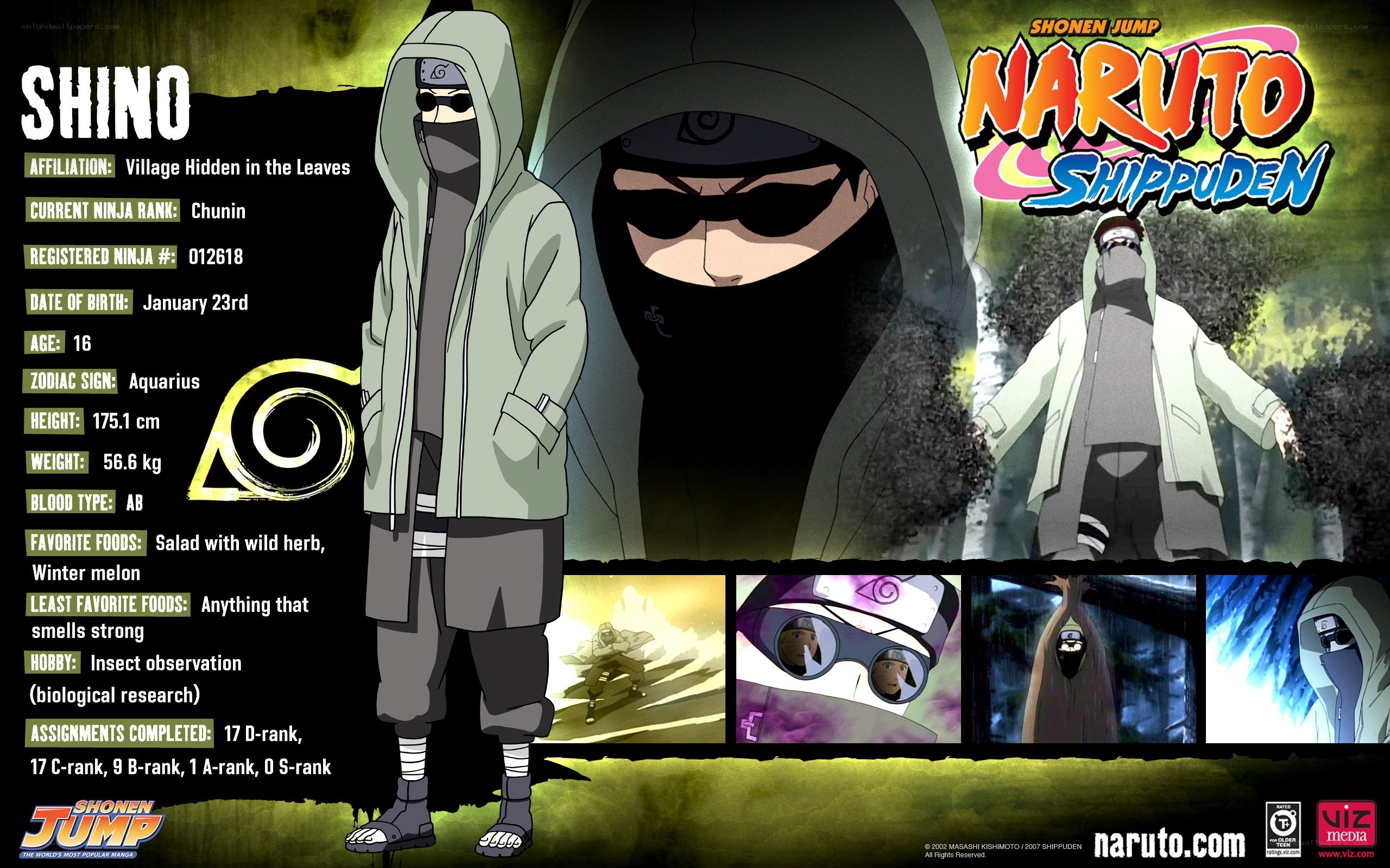 Shino Aburame character profile