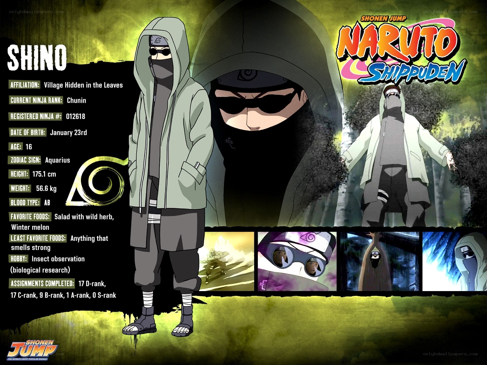 Shino Aburame character profile