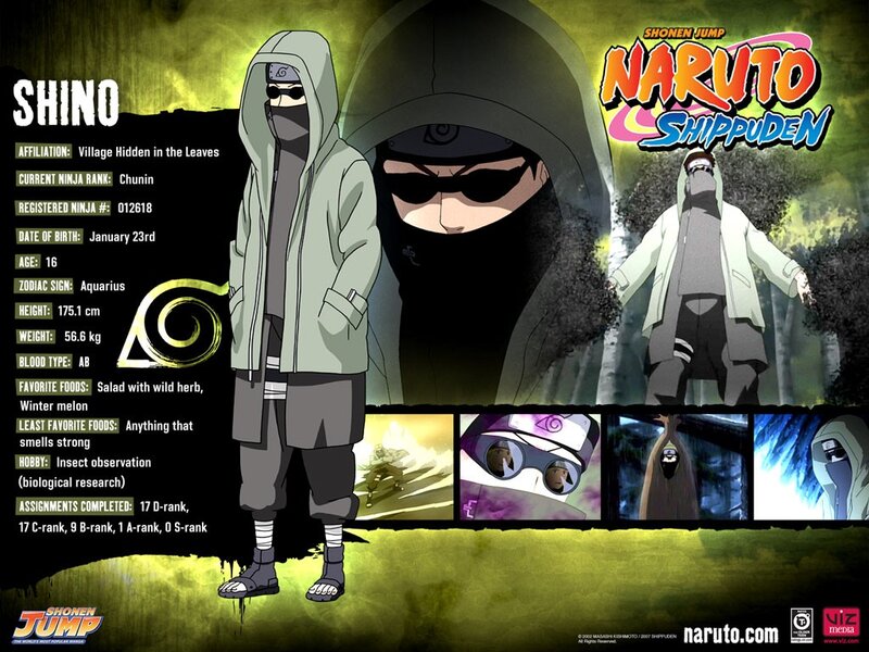 Shino character profile