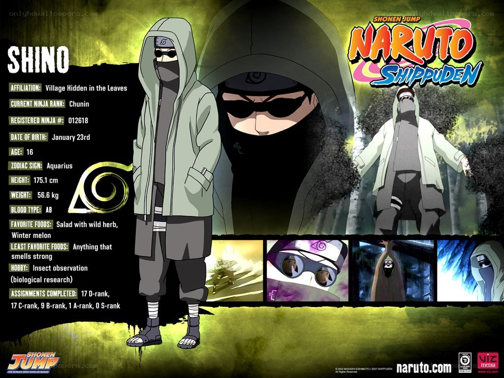 Shino character profile