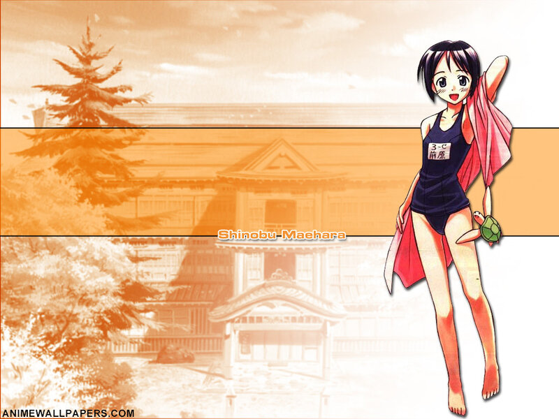 Shinobu Maehara in swimsuit