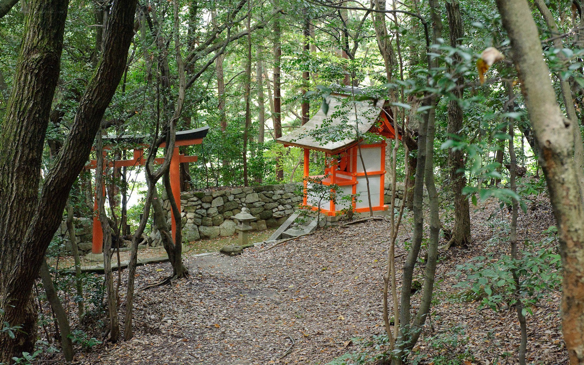 Shinto shrine in forest