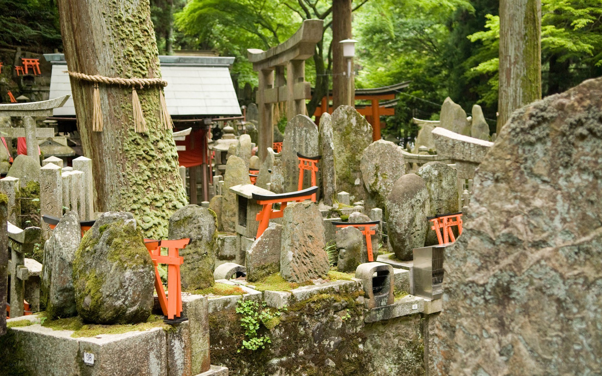 Shinto shrine with stone markers