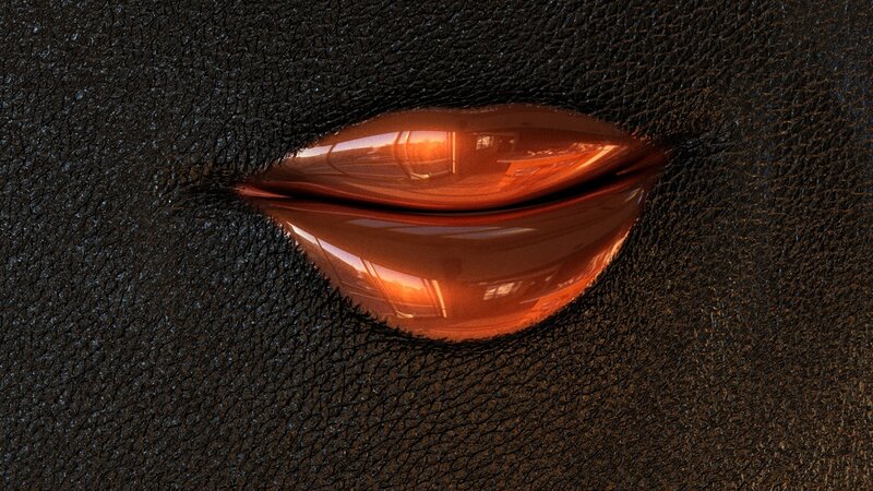 Shiny Lips on Leather