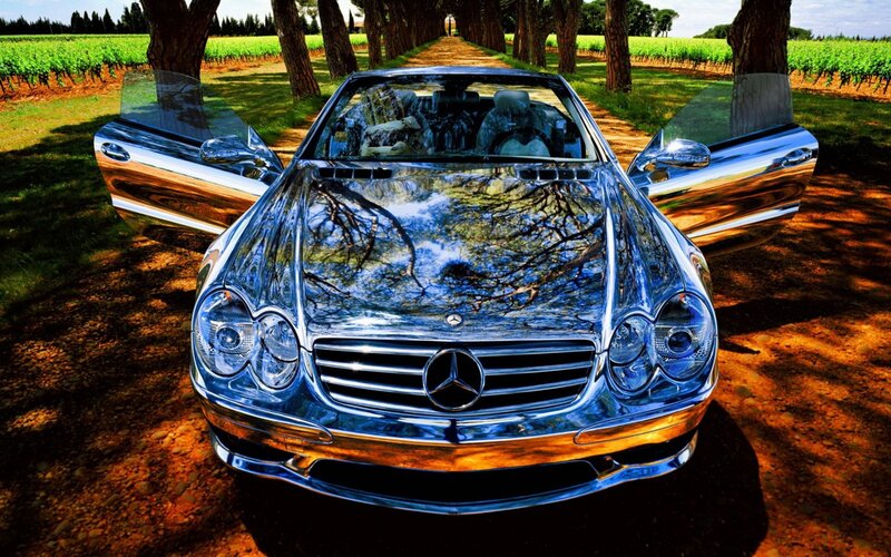 Shiny Mercedes-Benz in vineyard