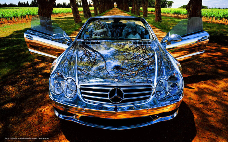Shiny Mercedes-Benz in vineyard