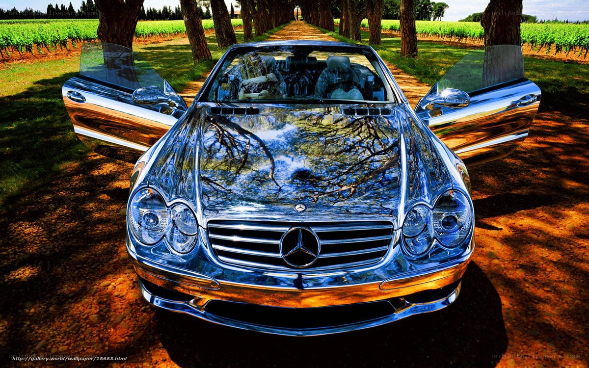 Shiny Mercedes-Benz in vineyard