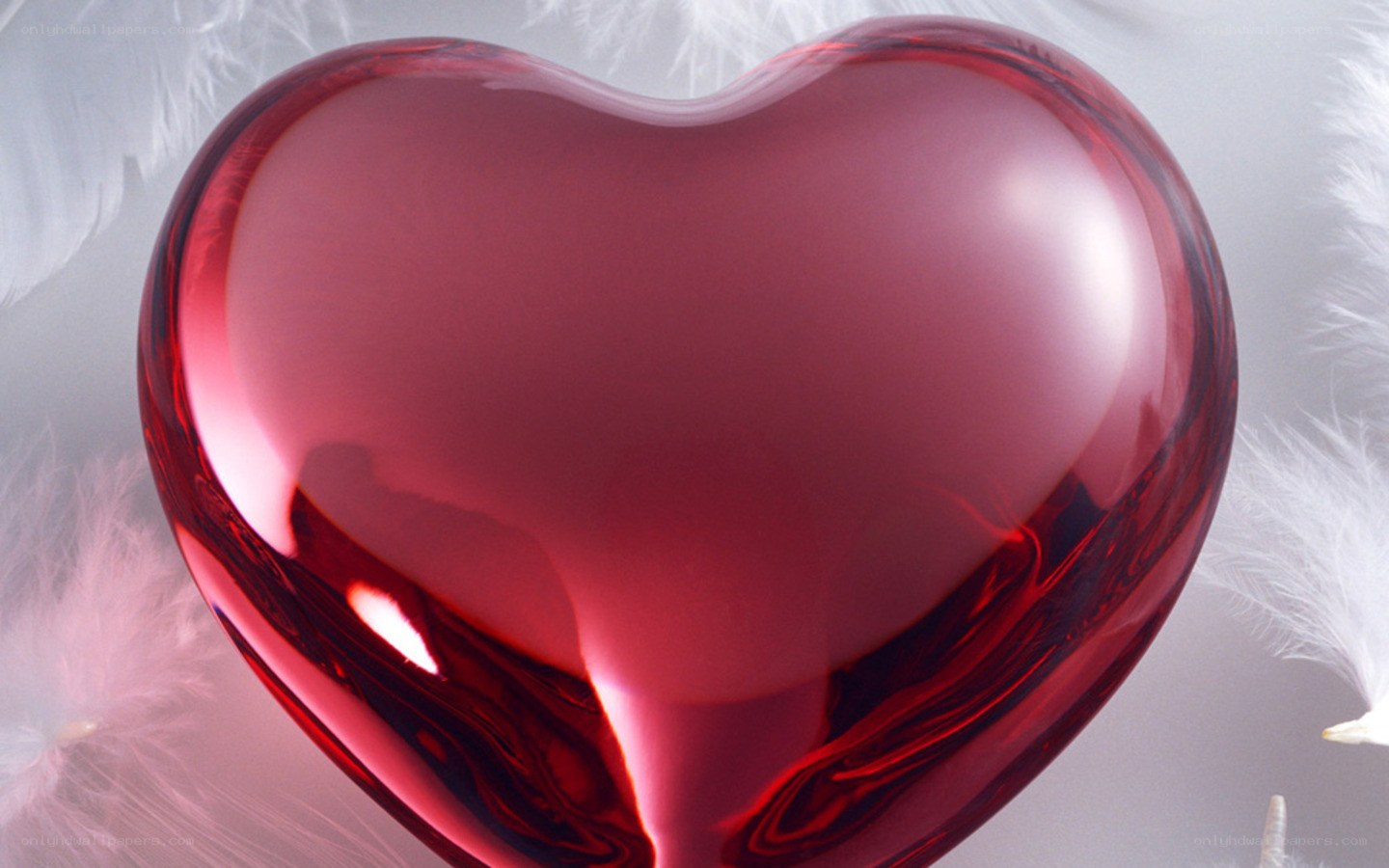 shiny red heart with feathers