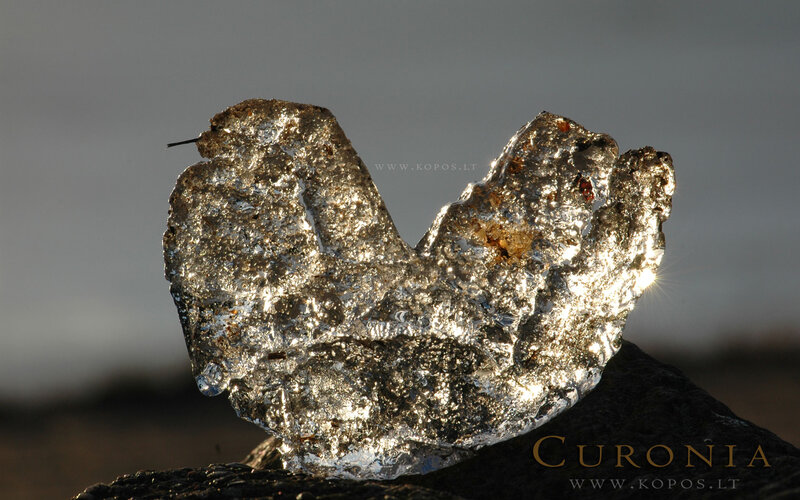 Shiny Rock on Dark Surface