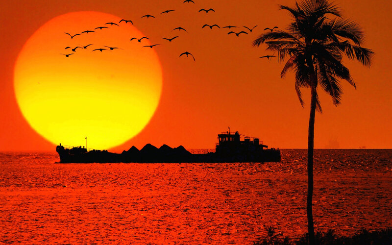 Ship at Sunset — Orange, Dramatic, Photograph, Birds