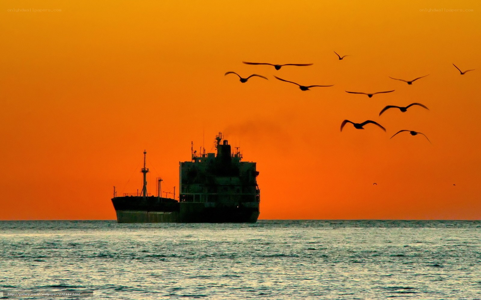 Ship at sunset with birds