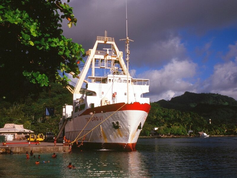 Ship docked in tropical harbor