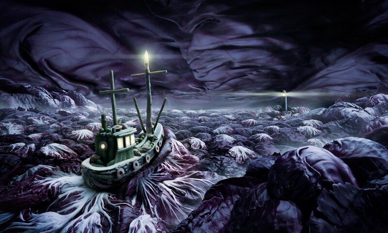 ship in a sea of cabbage