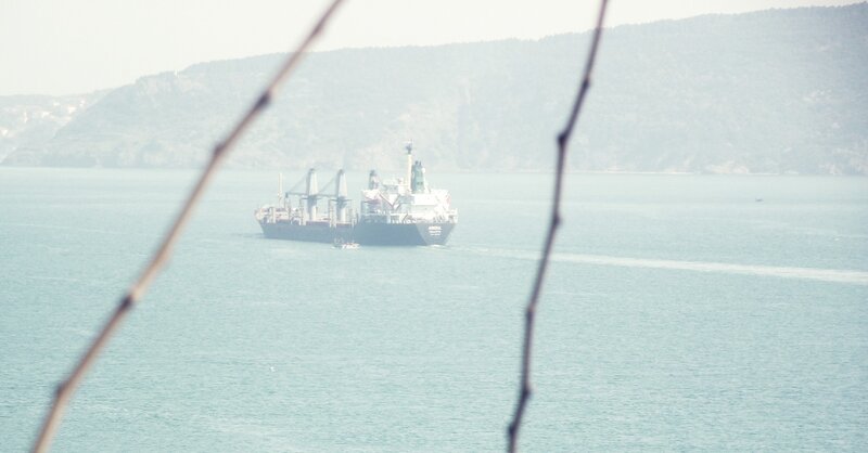 ship in the sea