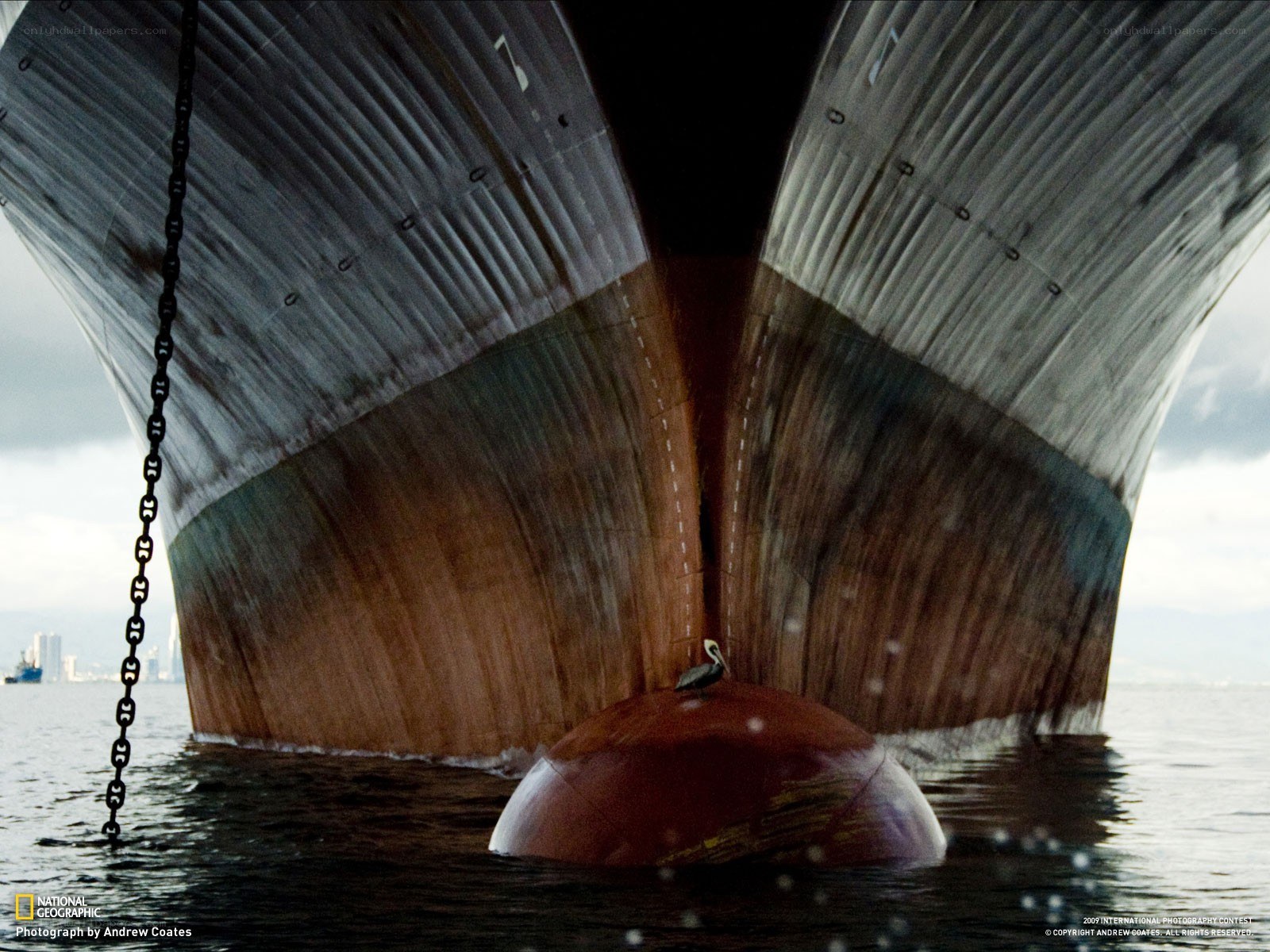 Ship's hull and buoy