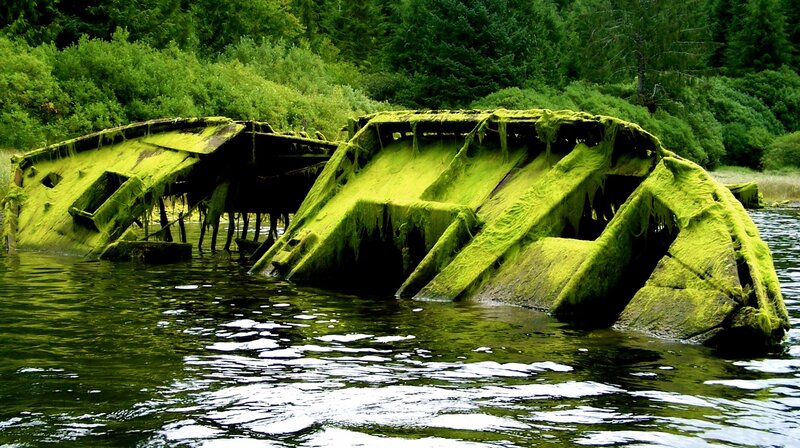 shipwreck covered in green algae
